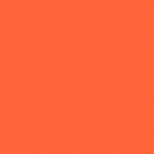 flo orange.PNG